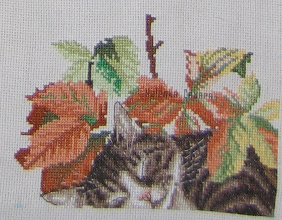 15 этап 3. Робин (закончен)