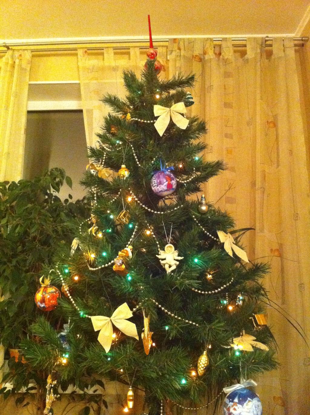 Елка от МОТТИ льда. 