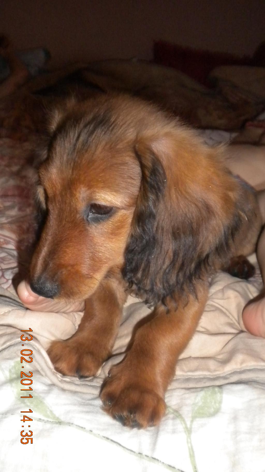 Кукуся(спустя почти месяц). 