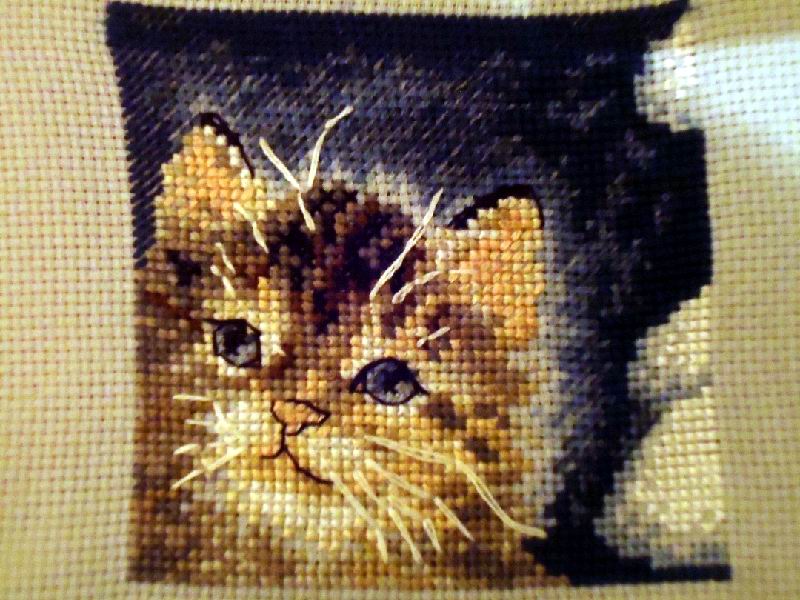 котенок. моя вышивка