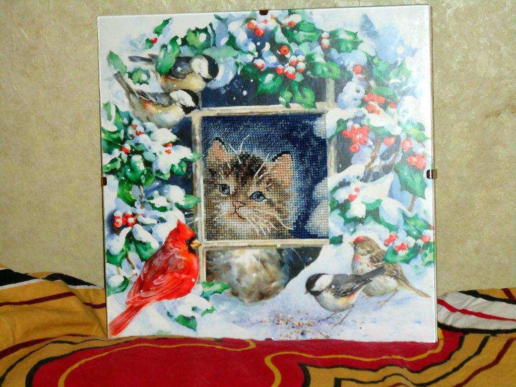 котенок от Дима. моя вышивка