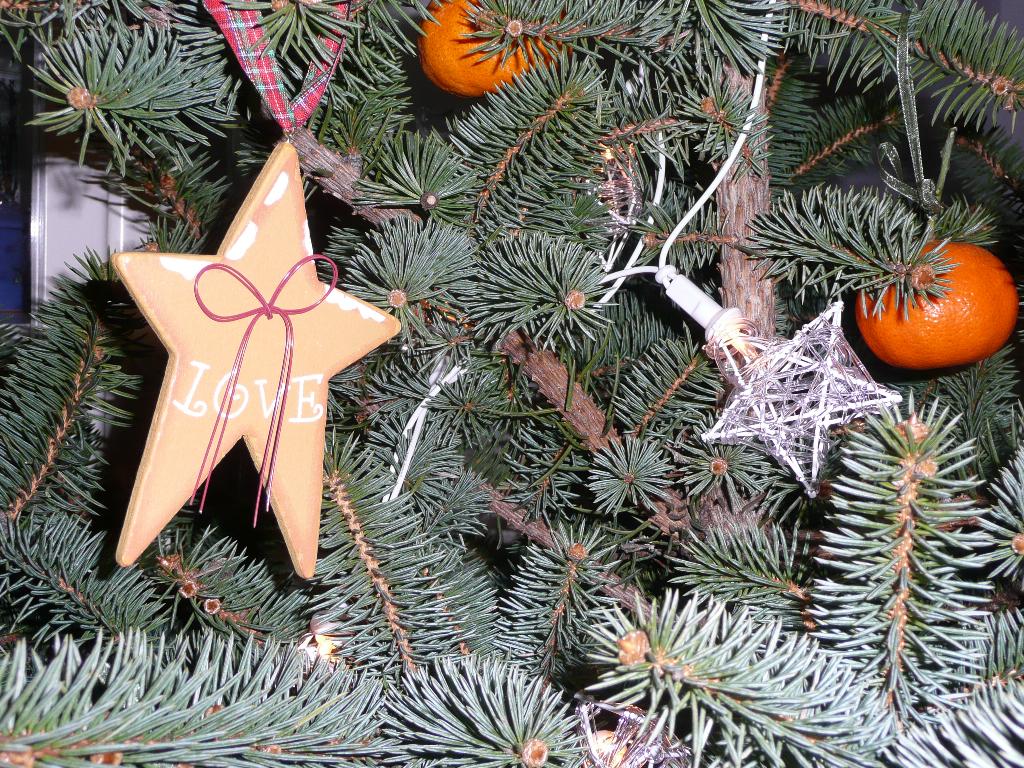 Ёлка. Н.Г. 10/11