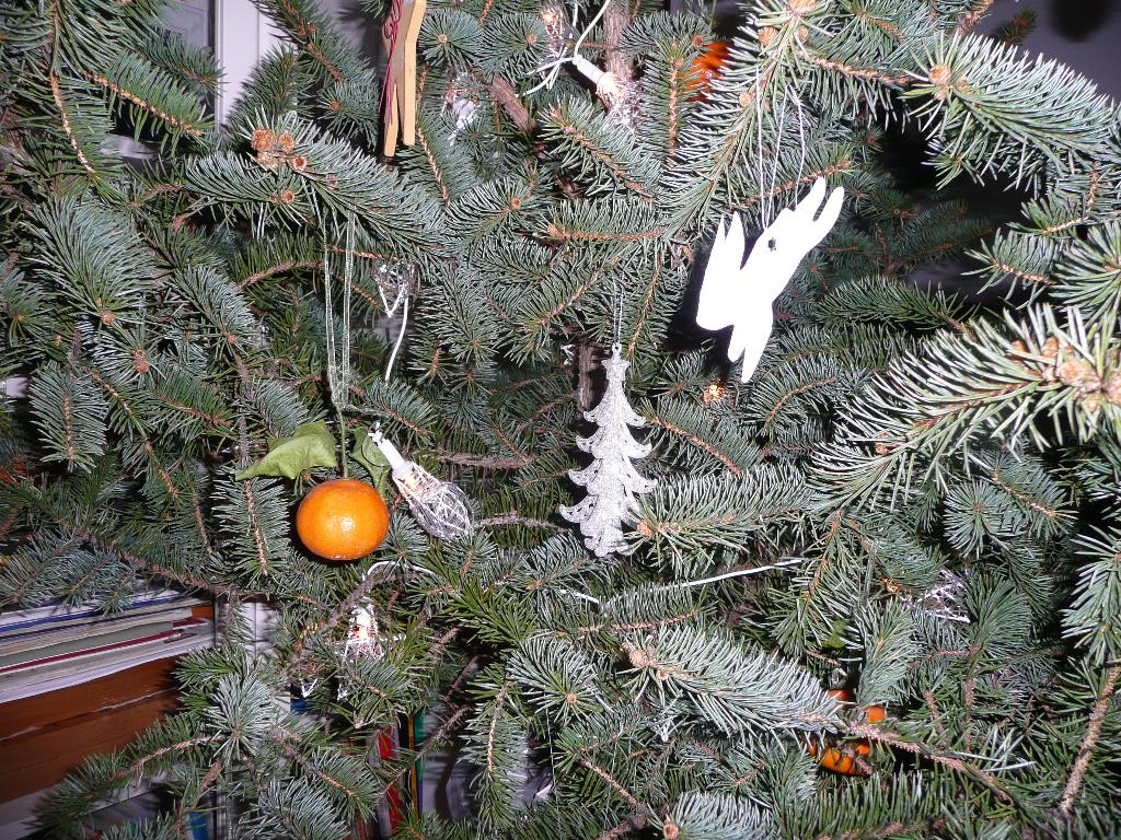 Ёлка. Н.Г. 10/11