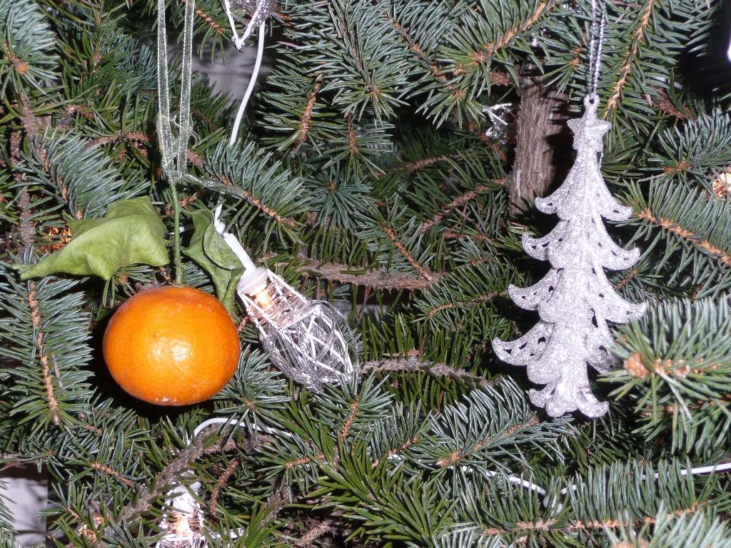 Ёлка. Н.Г. 10/11