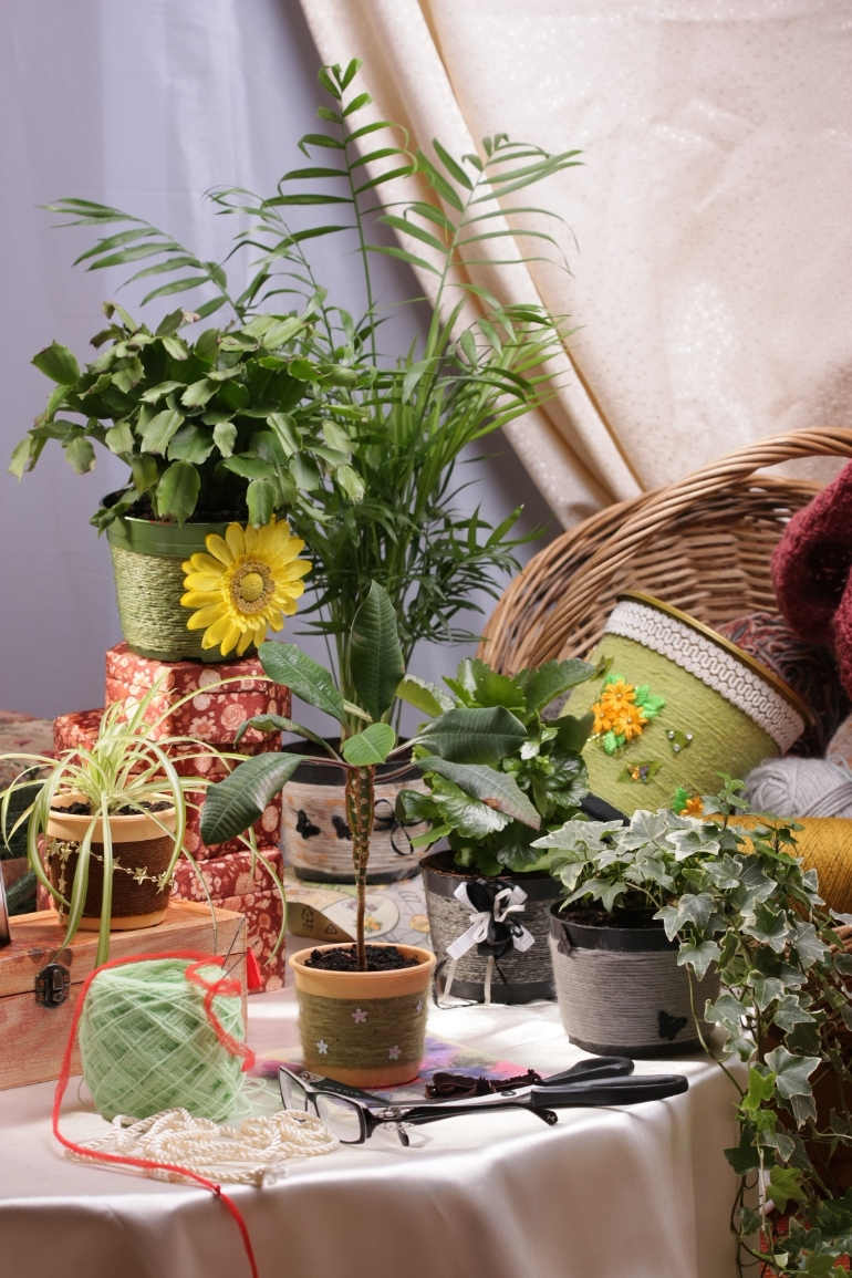 реализация идеи в интерьере. цветочные горшки