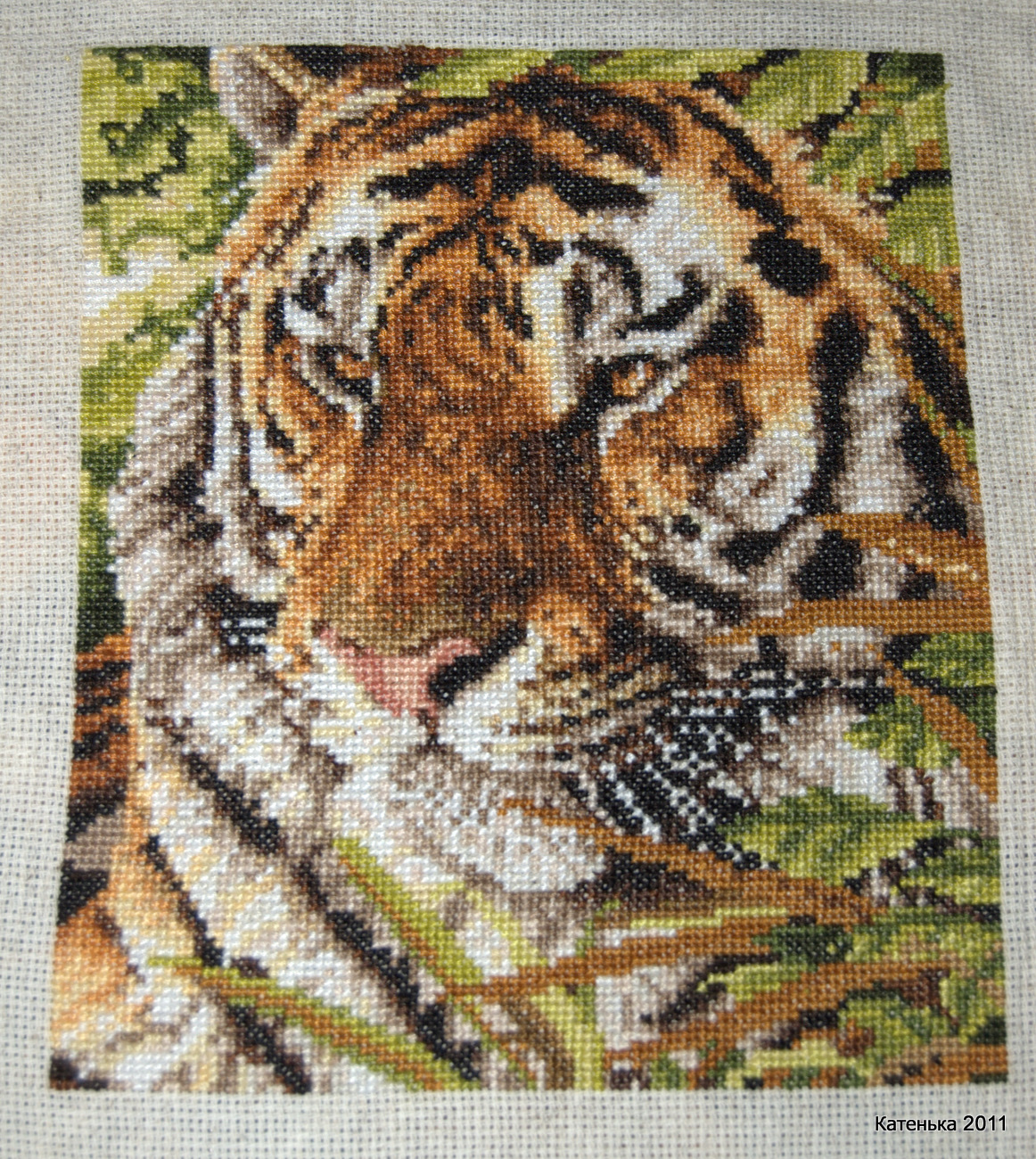 Тигр. Встреча 26-02-11