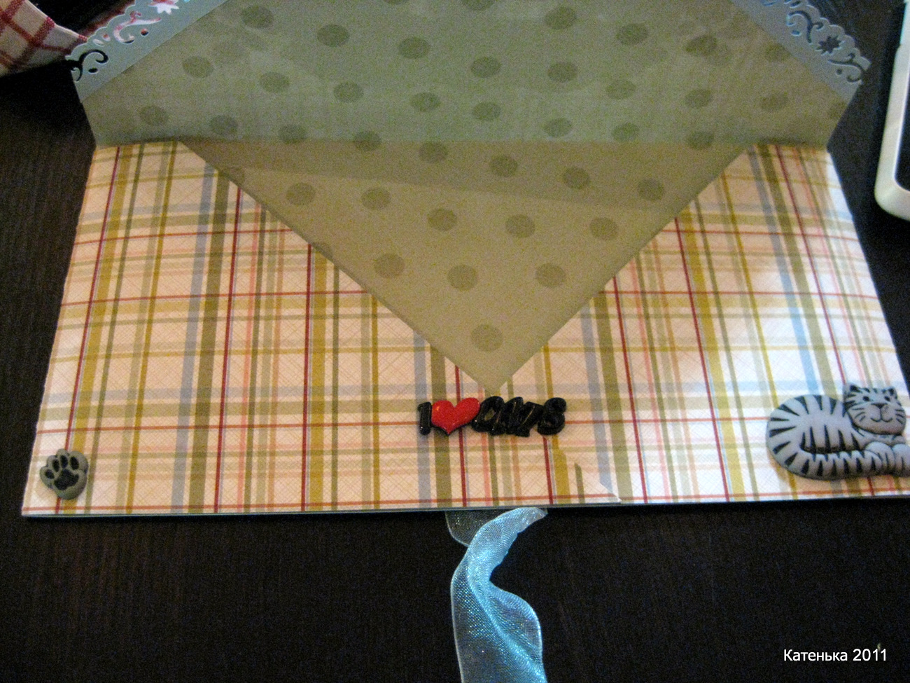 Конверт для ветеринара_вид 2. Встреча 26-03-11