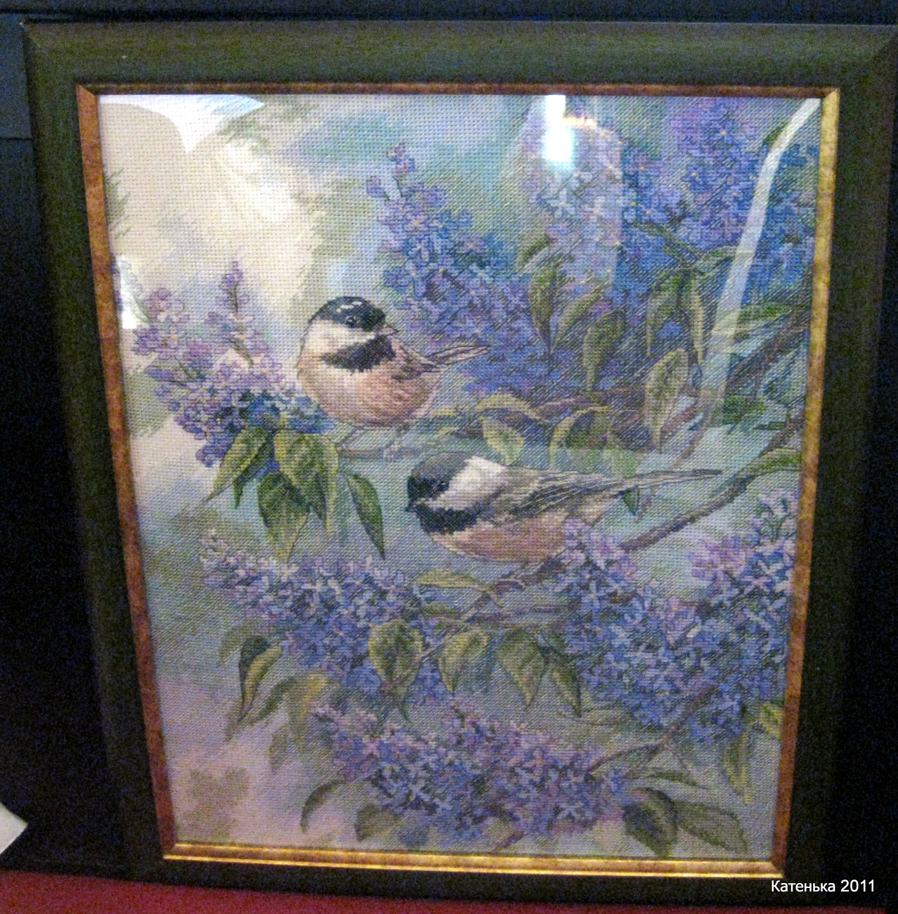 Синички. Встреча 26-03-11