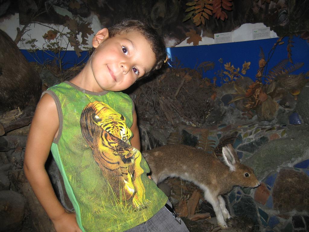 Музей леса. Музейное