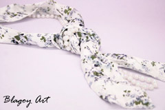 пристрой общий