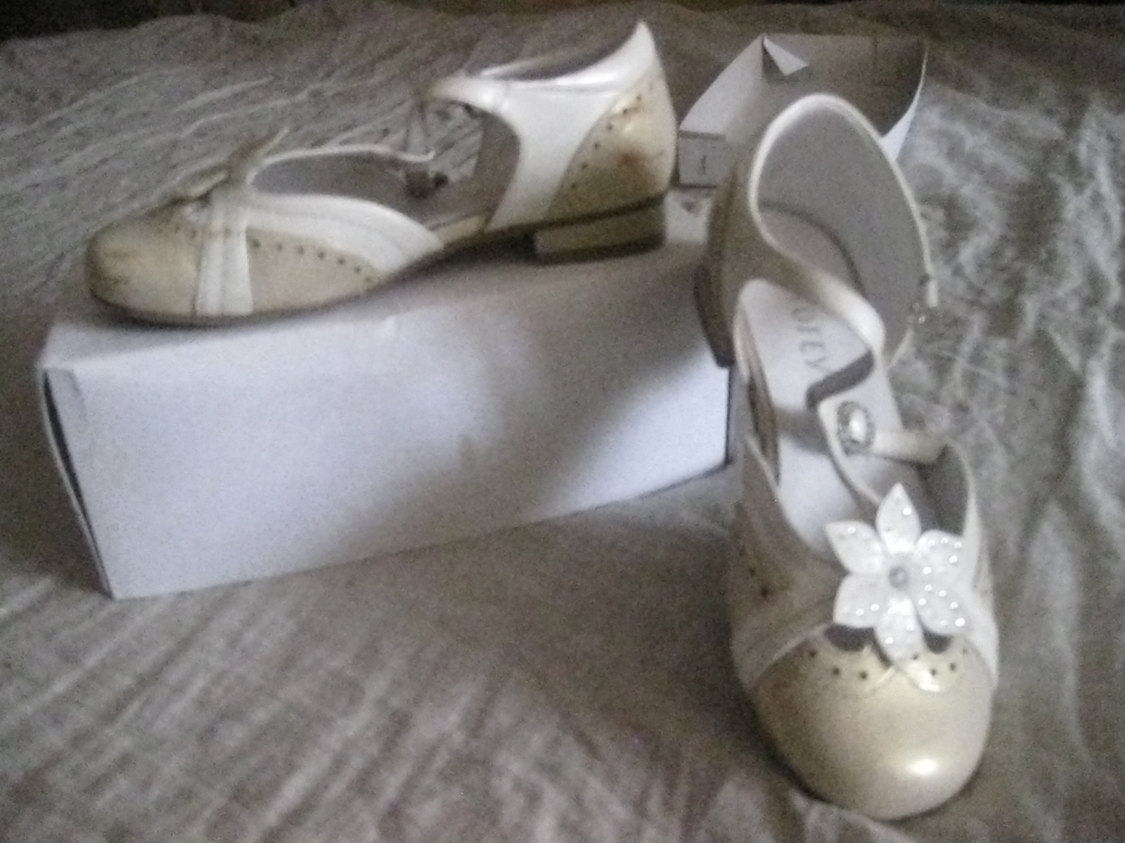 Р-р 29. Отдано