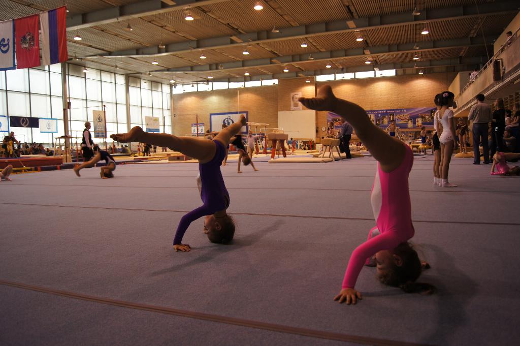 Соревнования по спортивной акробатике апрель 2011года