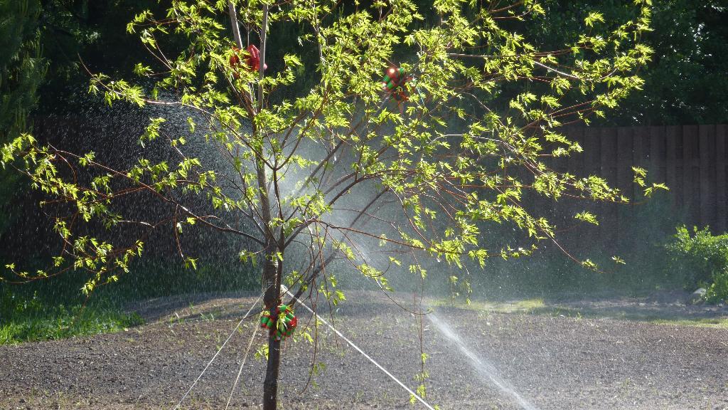 Именинный подарок сестре. Дом
