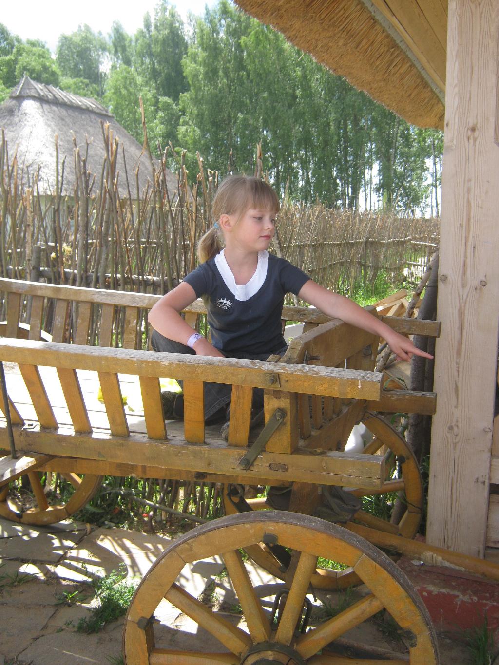 Лето 2011