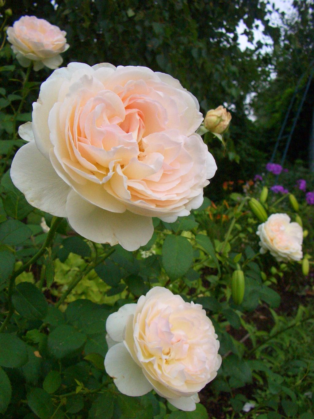 Sebastian Kneipp. Лето 2011