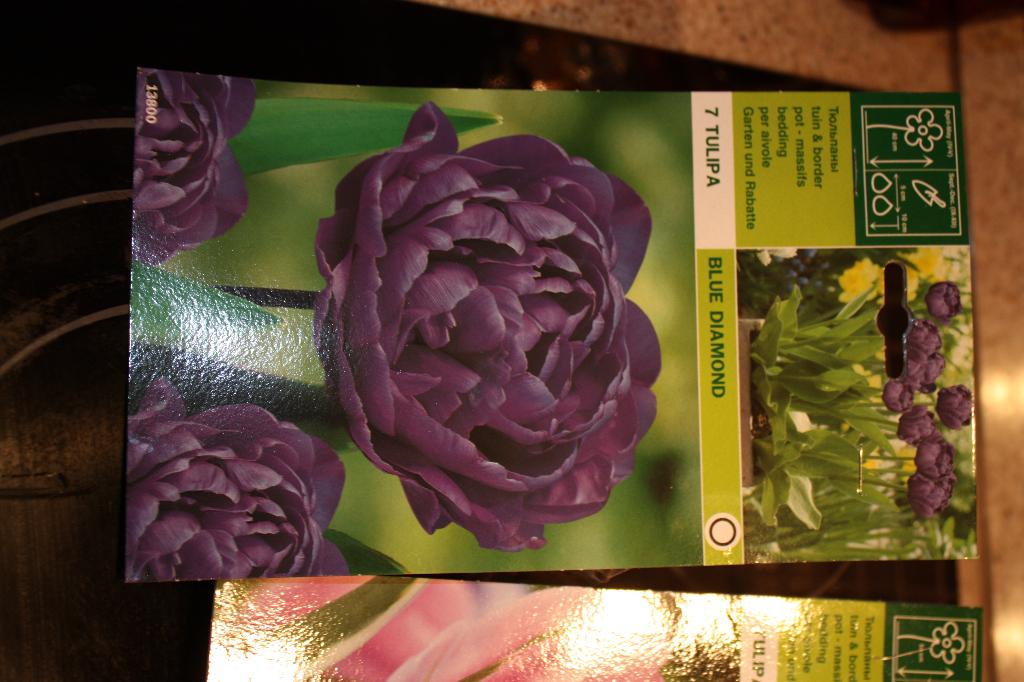 Blue diamond. Цветы