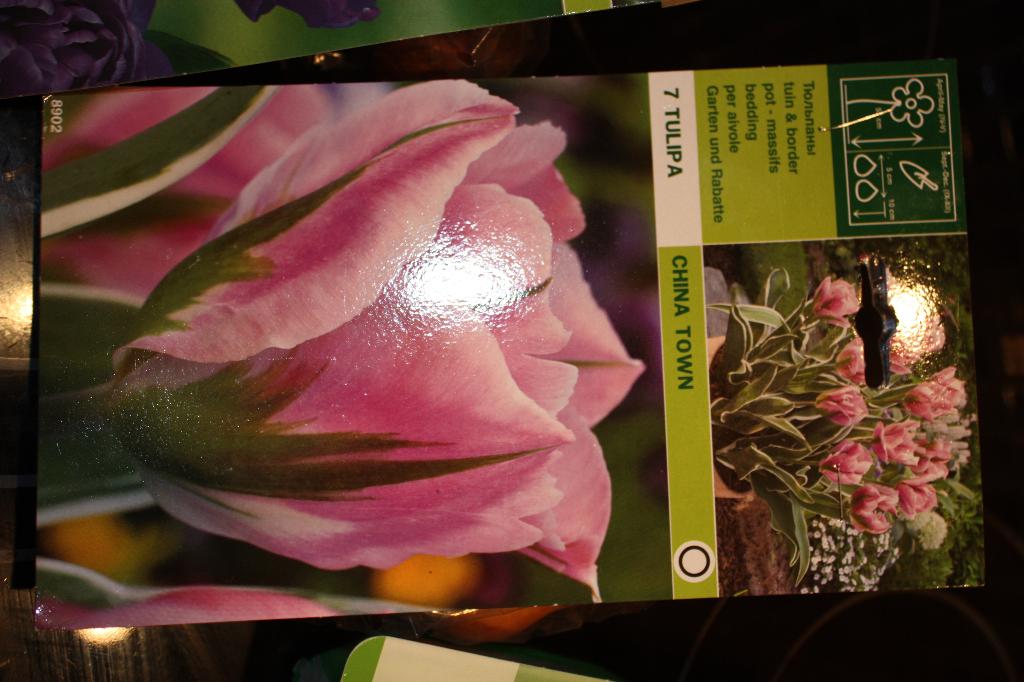 China town. Цветы