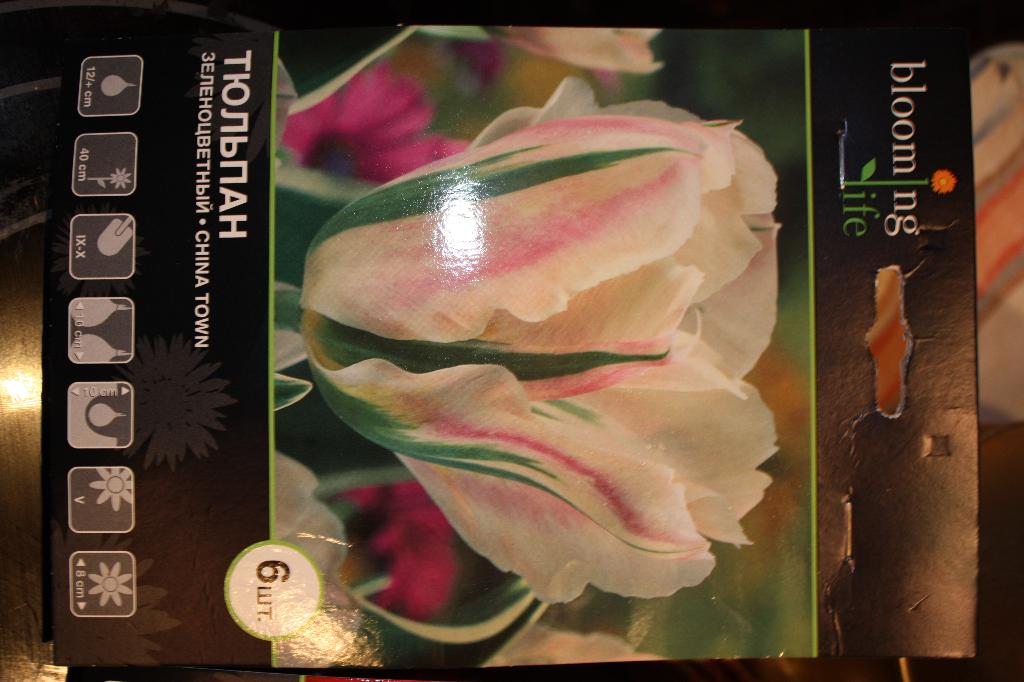 зеленоцветный China town. Цветы