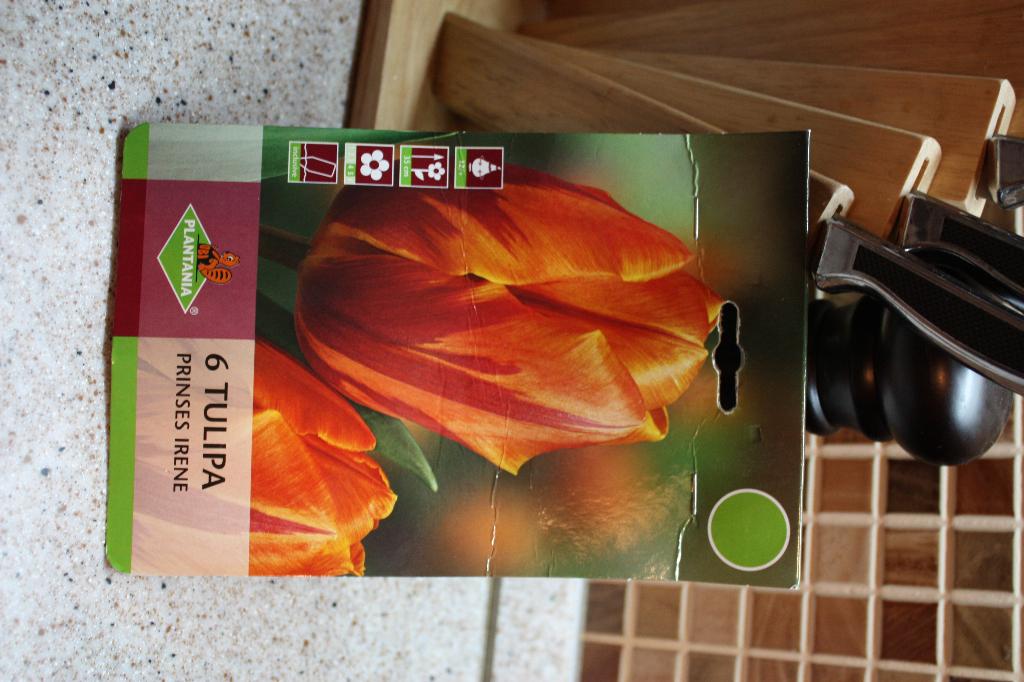 Prinses irene. Цветы