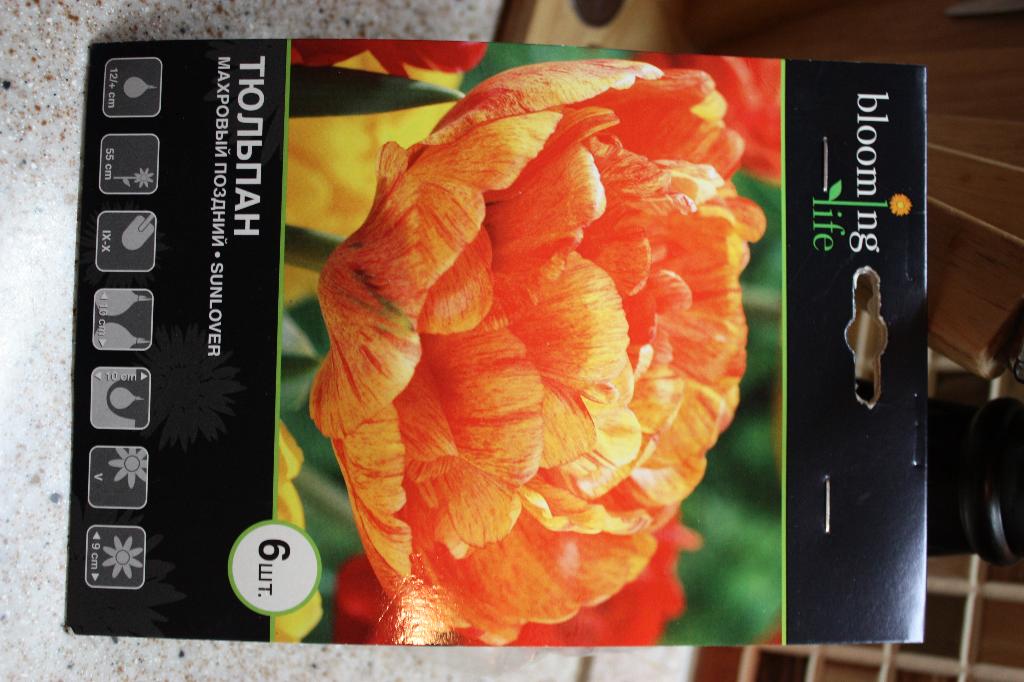 Sunlover махровый поздний. Цветы