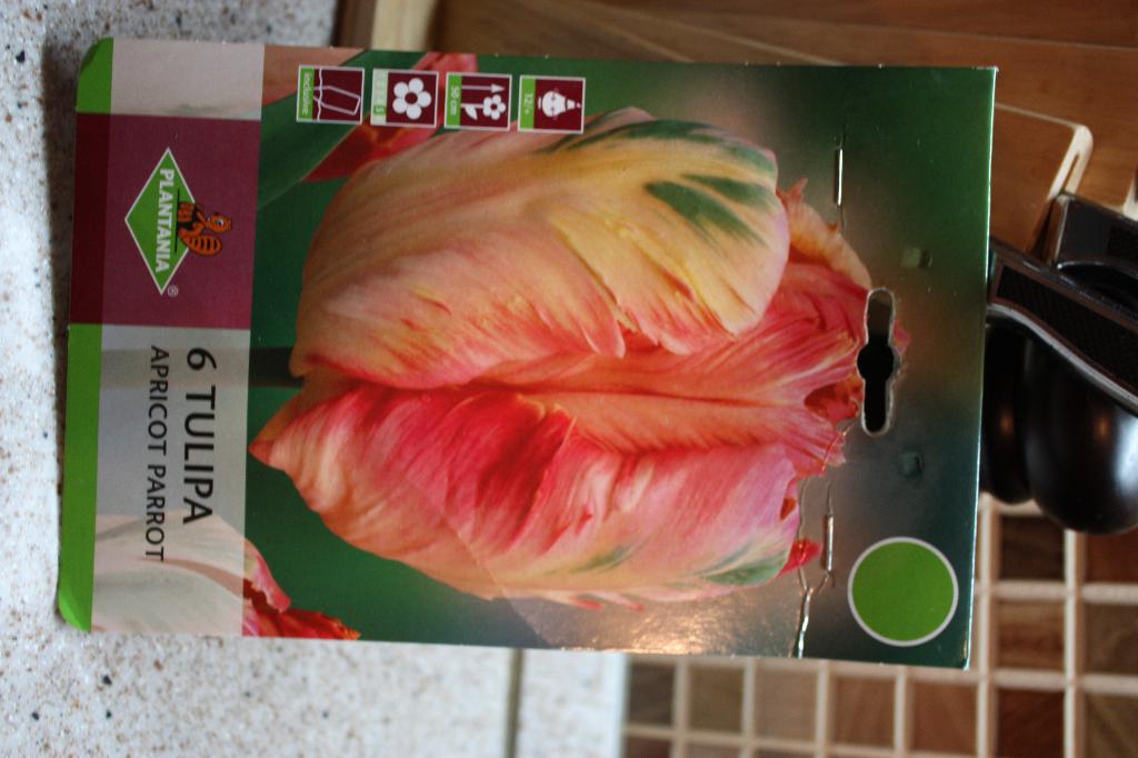 Apricot parrot. Цветы