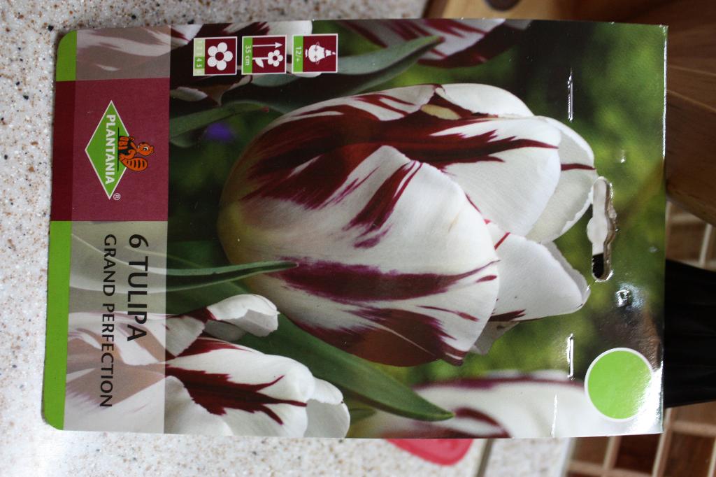 Grand perfection. Цветы