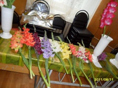 Гладиолусы. Гладиолусы