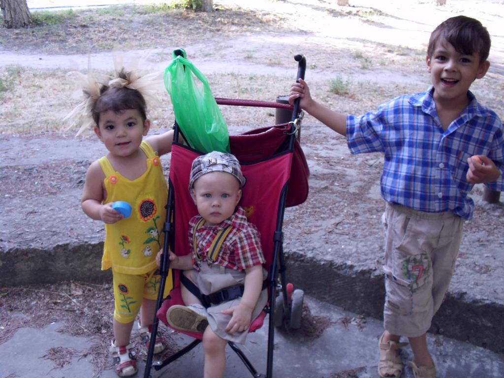 Мои цыплятки. лето 2011