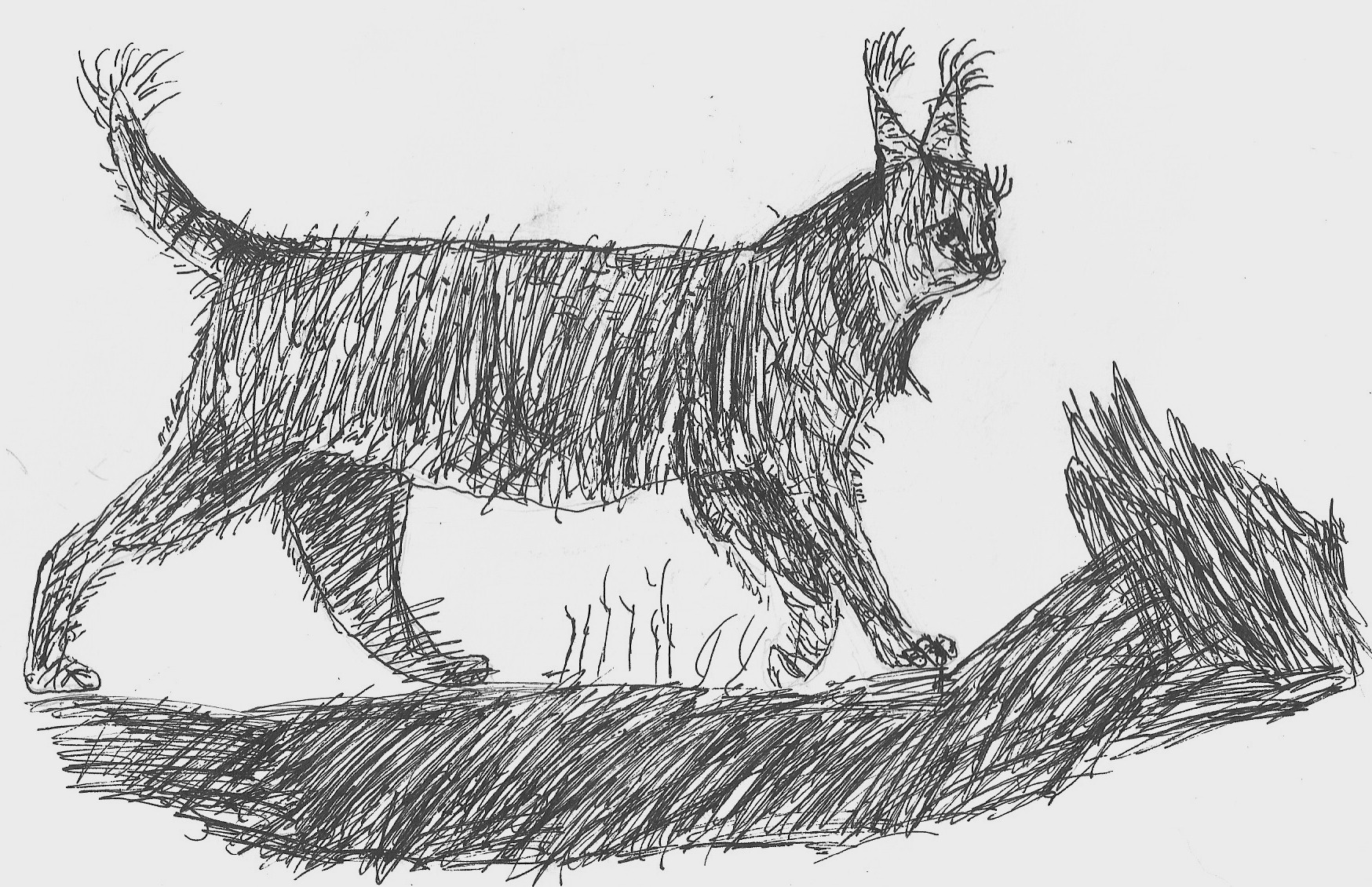 Творчество