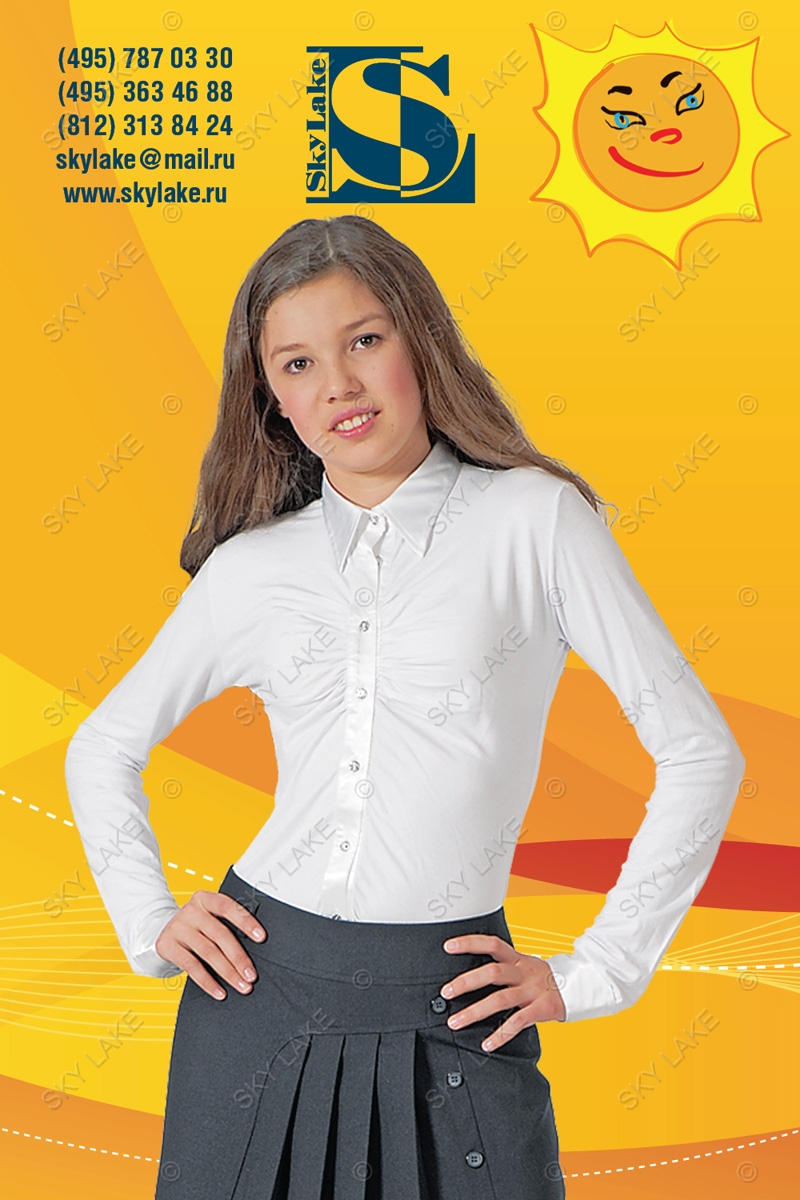 Блуза ШФ-260 Даша белый р-р 36-42. С*кай*Лэйк: блузы