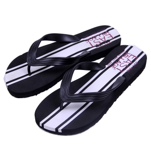 FMS10 305. Сланцы