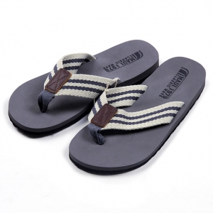 FMS10 303. Сланцы