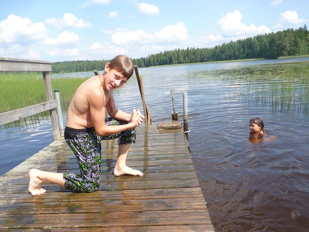 Мои воробышки