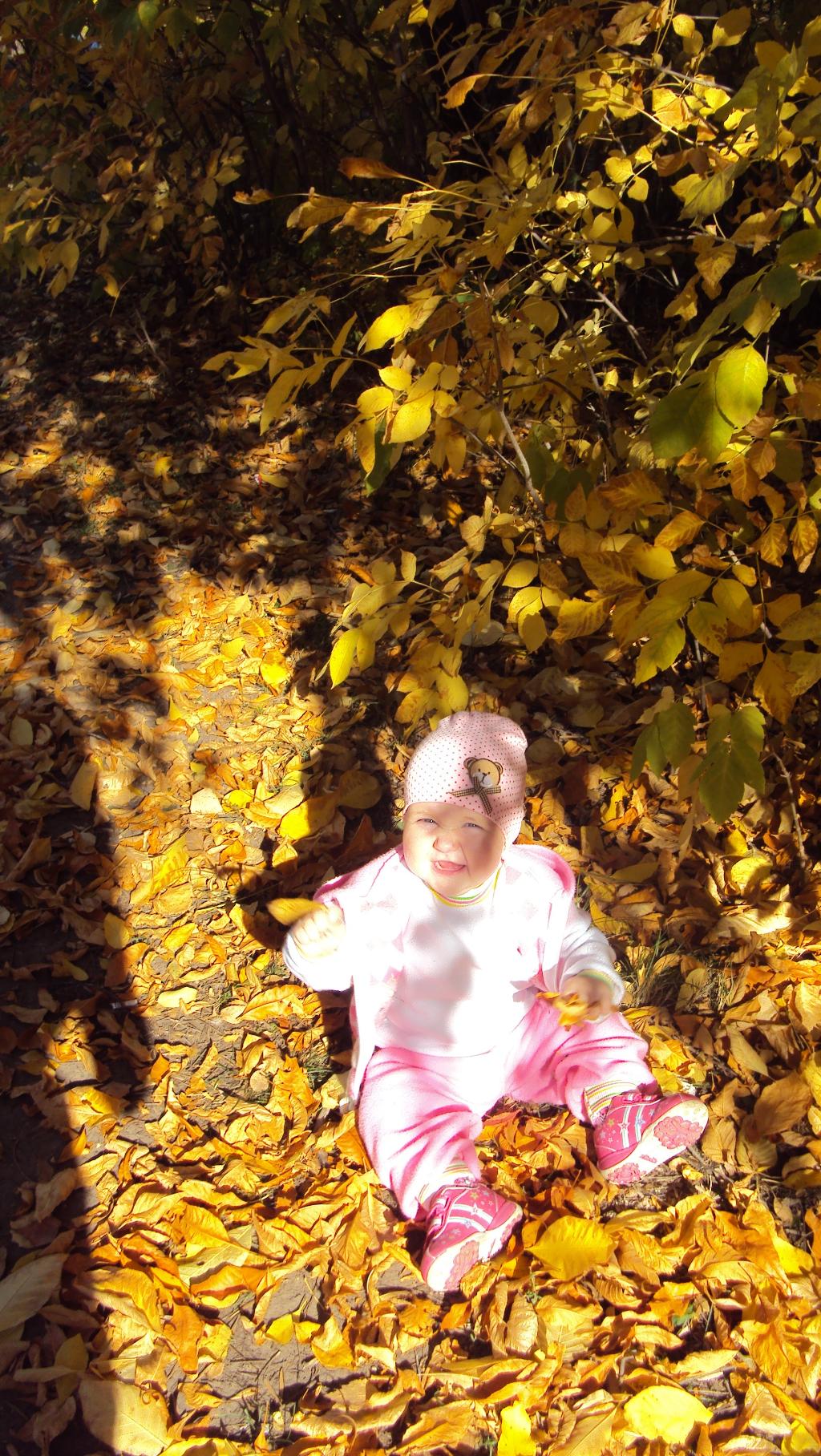 Осень, осень!!!!. 