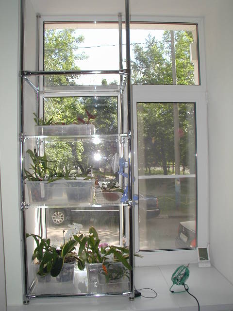 Полка на пластиковое окно. Стеклянный стеллаж на окно. Стеклянная Этажерка для цветов. Стеклянный стеллаж для цветов. Стеклянный стеллаж для цветов на подоконник.