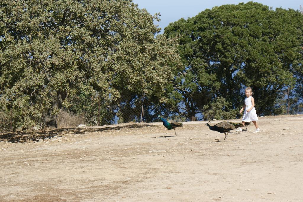 Родос, Греция, 2012