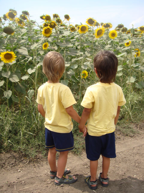 Цветочки мои жёлтенькие!. Ака и Бяка