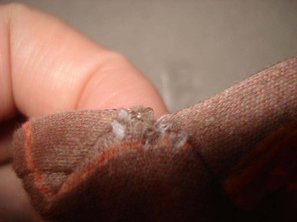 Белье от Таксы