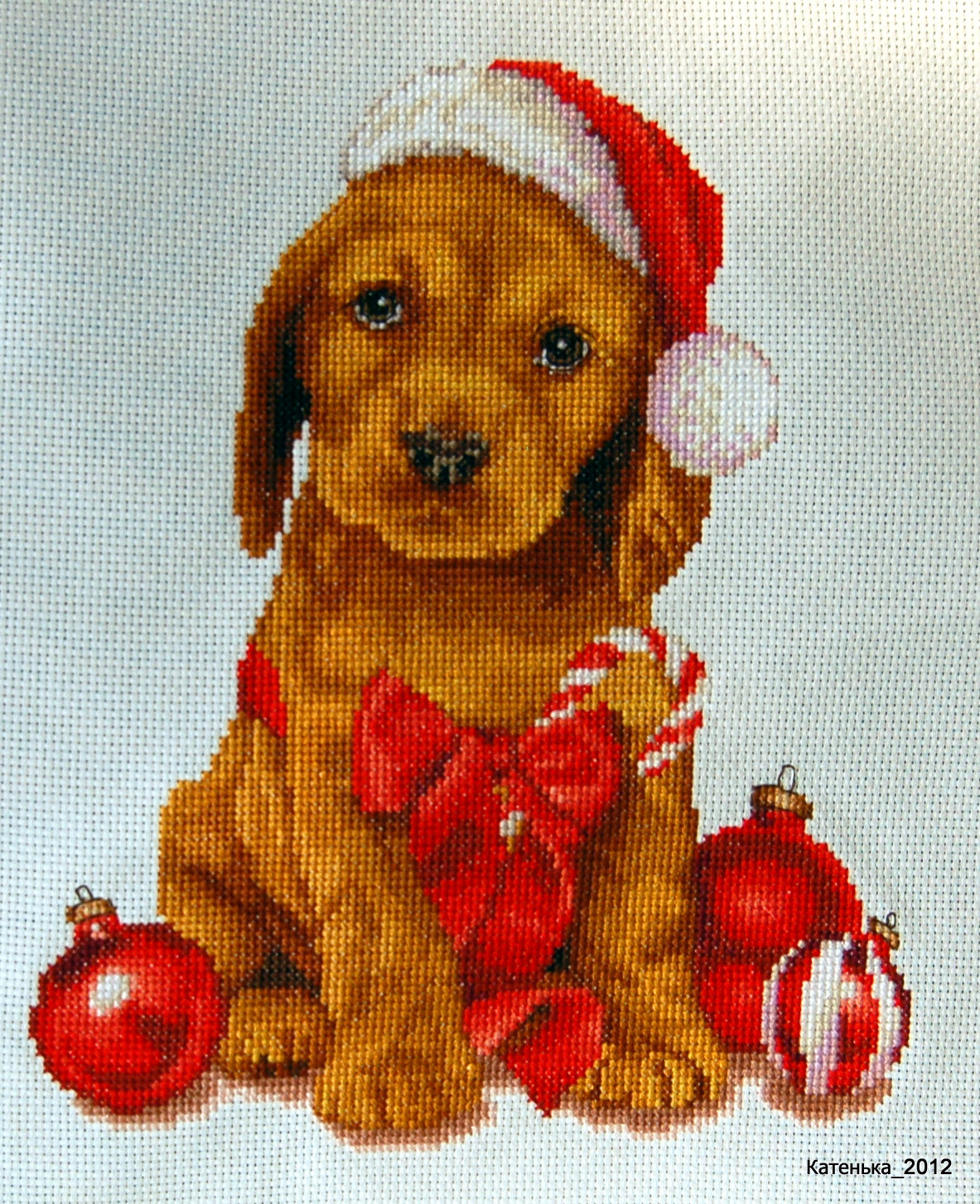 Christmas Puppy. Встреча 16-12-12