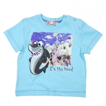 Футболка с кор.рукавом для мальчиков (BBS12-37514). Футболка