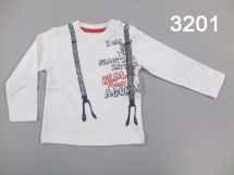 Футболка с длинным рукавом для мальчиков(Z12-3201). Футболка с длинным рукавом