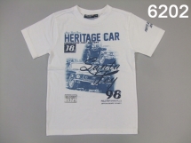 Футболка для мальчиков (Z12-6202). Футболка