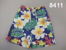 Шорты для мальчиков (Z12-8411). Шорты