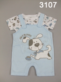 Костюм-двойка для мальчиков (Z12-3107). Новорожденные