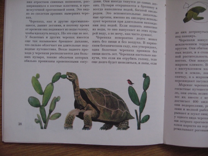 ДЕТЯМ-ИГРУШКИ,КНИГИ