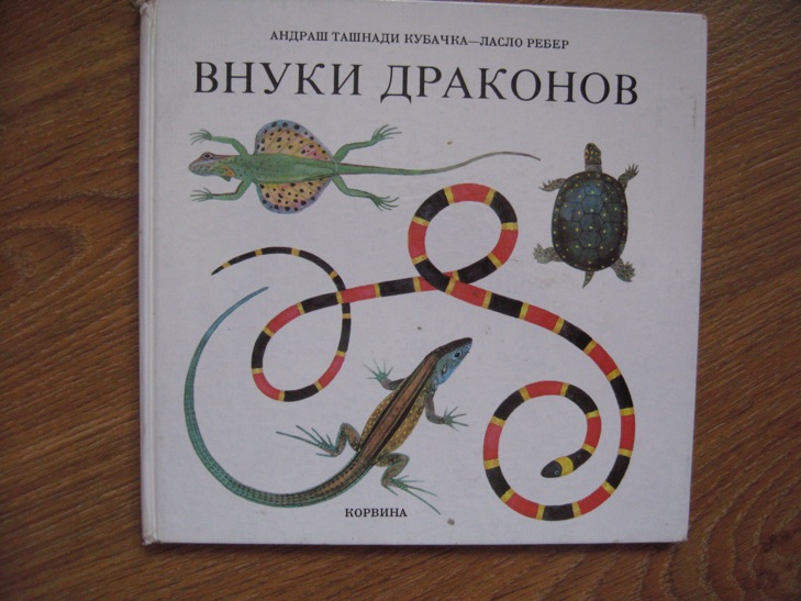 ДЕТЯМ-ИГРУШКИ,КНИГИ