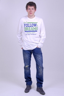 Джинсы мужские (MS12-8504P). Джинсы