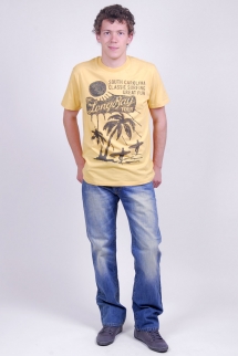 Джинсы мужские (MS12-8523P). Джинсы