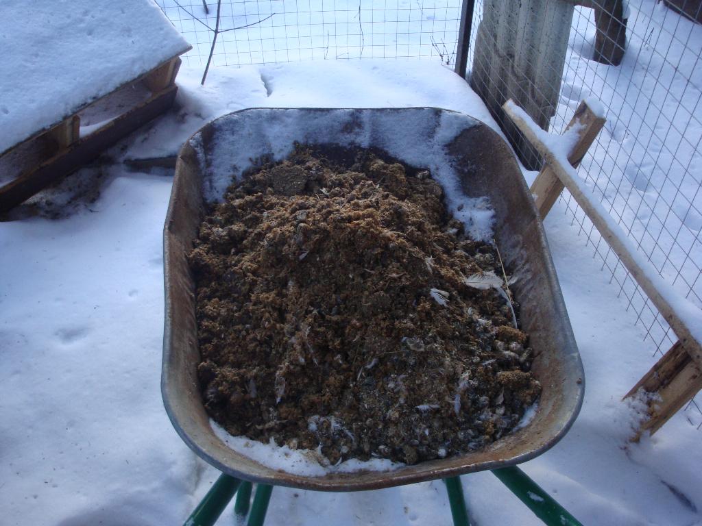 Мои курочки