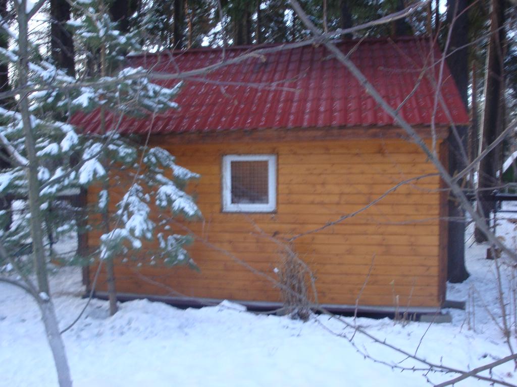 Курятник № 2. Мои курочки